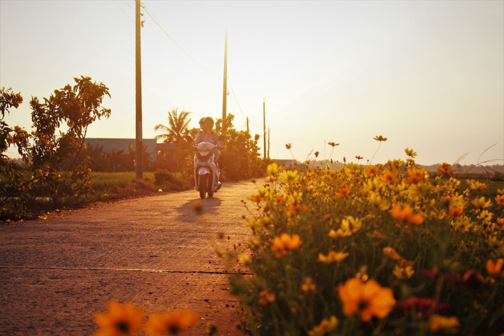 motorcycle, road, wildflowers-5720553.jpg